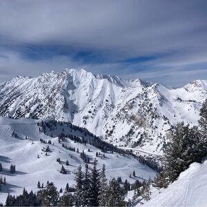 Meet your Posher, Gaylen